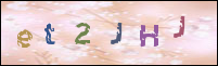 صورة التسجيل