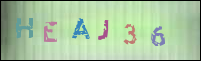 صورة التسجيل