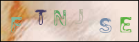 صورة التسجيل